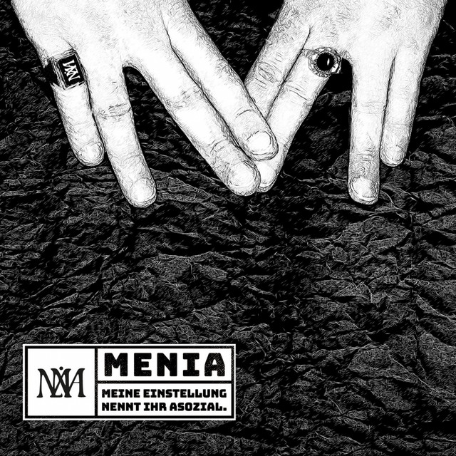 Meine Einstellung nennt ihr asozial cover art