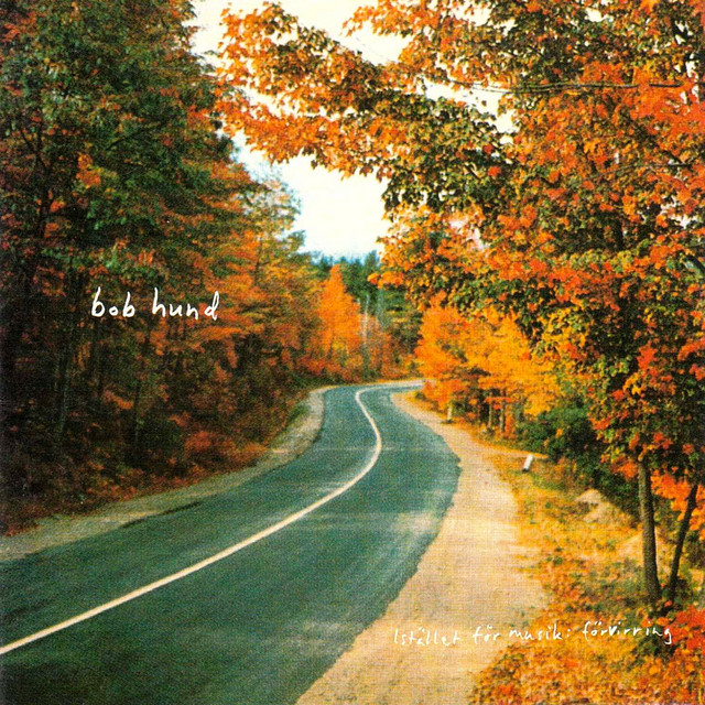 Istället för musik: förvirring (VINYLLJUD 2019)