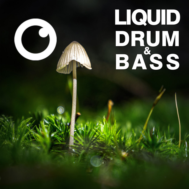 Liquid Drum & Bass Sessions 2020 Vol 30 artwork