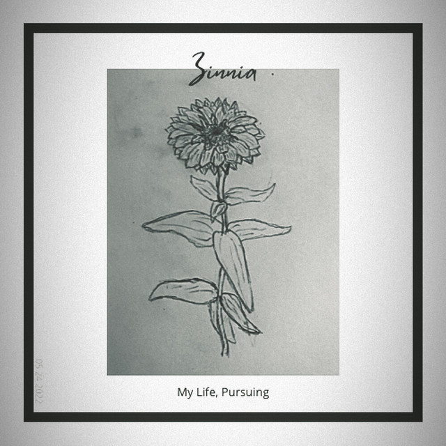 Zinnia
