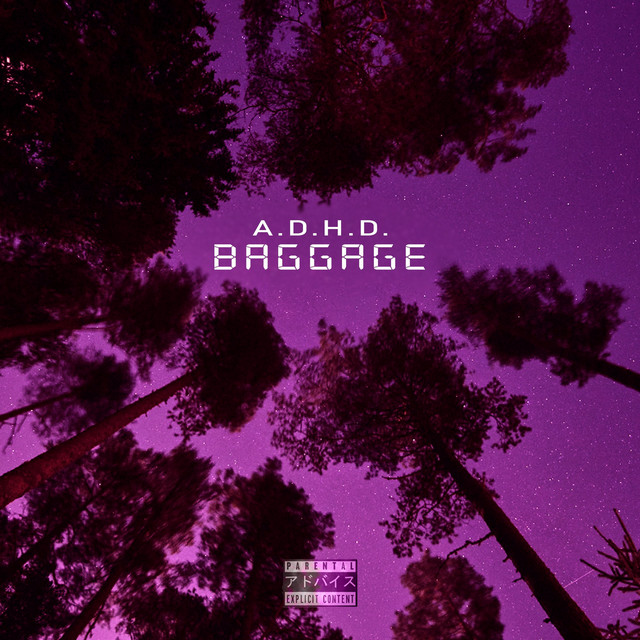 Baggage cover art