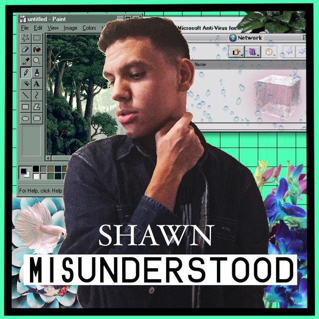 Misunderstood cover art