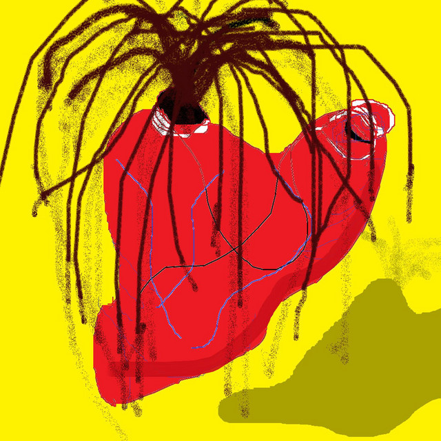 Never Paint a Lying Heart album image