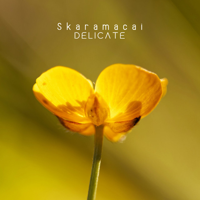 Skaramacai