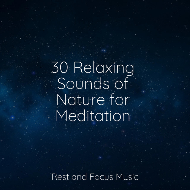 30 Relaxing Sounds of Nature for Meditation - Album by Sound Sleeping ...