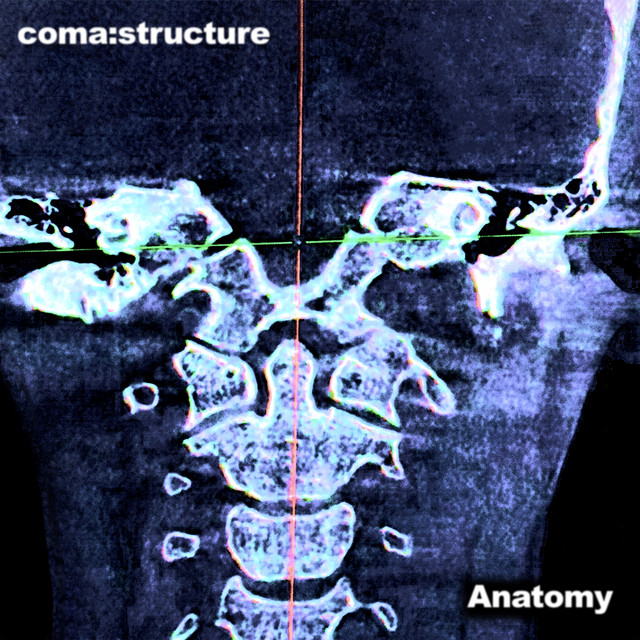 Anatomy - Single by coma:structure | Spotify