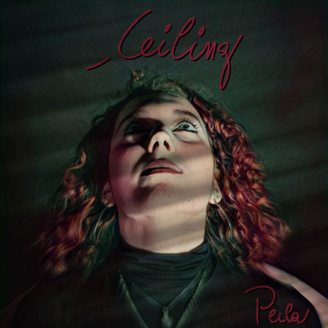 Ceiling cover art