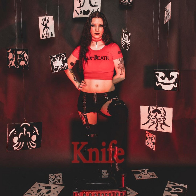Knife cover