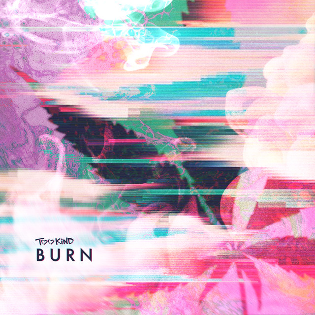 Burn cover art