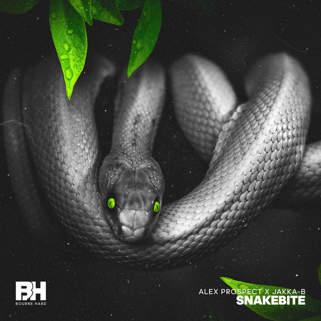 Snakebite cover art