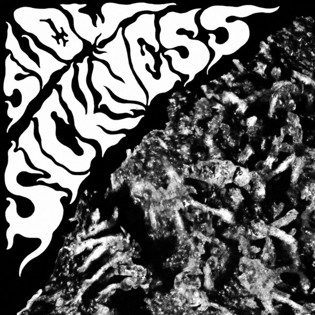 Slow Sickness cover
