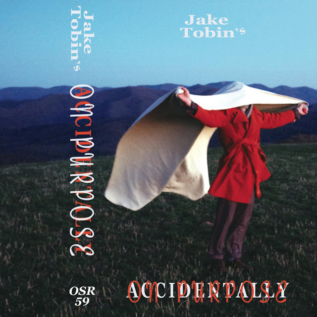 Accidentally on Purpose cover art