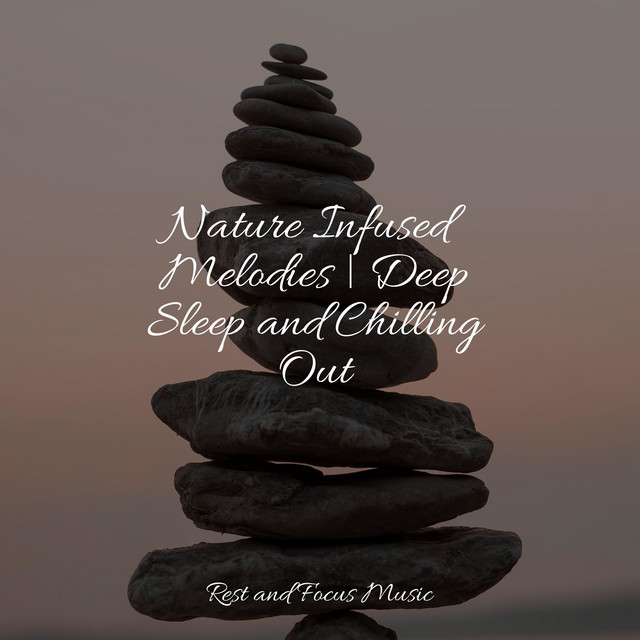 Nature Infused Melodies | Deep Sleep and Chilling Out - Album by White ...
