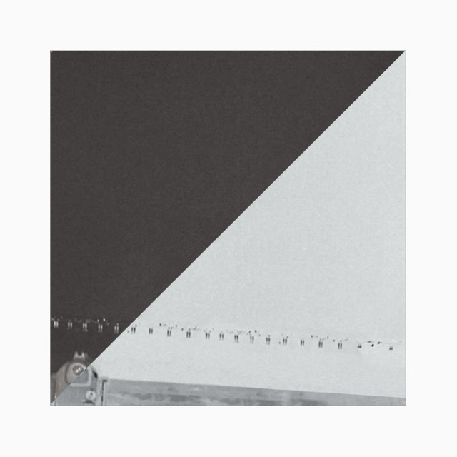 1231 cover art