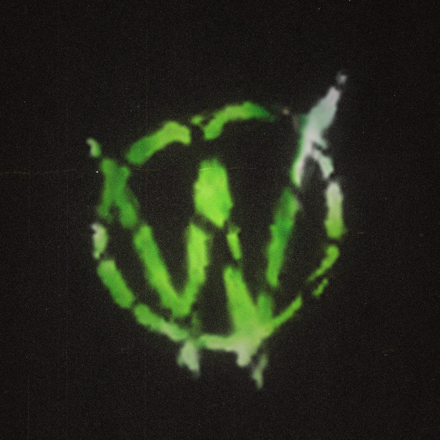 Wasted cover art