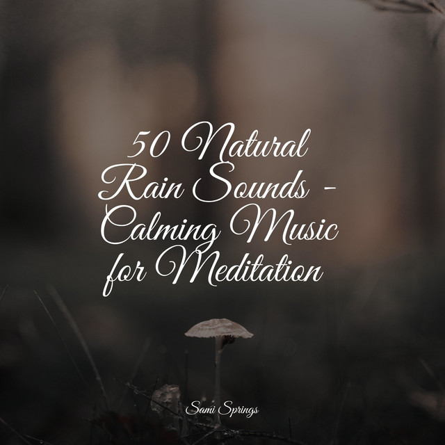 50 Natural Rain Sounds - Calming Music for Meditation - Album by ...