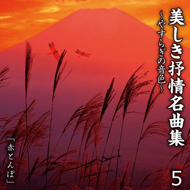 美しき抒情名曲集〜やすらぎの音色〜 5 - Compilación de Varios