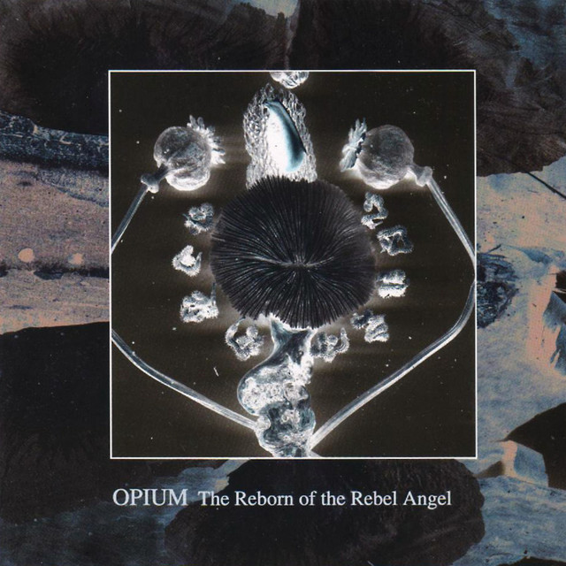 The Reborn of the Rebel Angel cover art