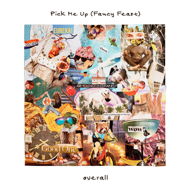 Pick Me Up (Fancy Feast) cover art