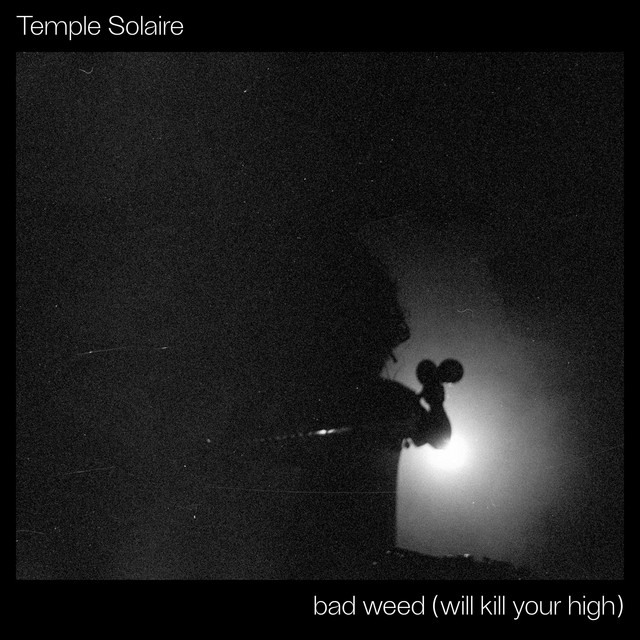 Bad Weed (Will Kill Your High) cover