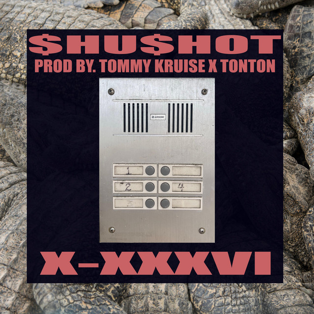 X-XXXVI cover