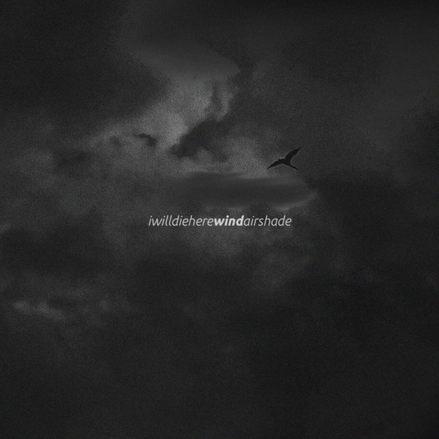 wind cover art