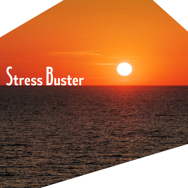 Stress Buster cover art