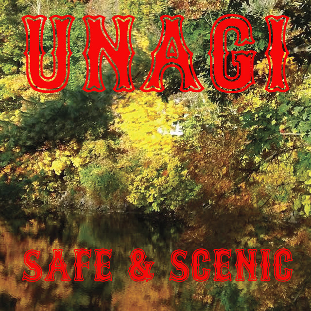 Safe & Scenic cover