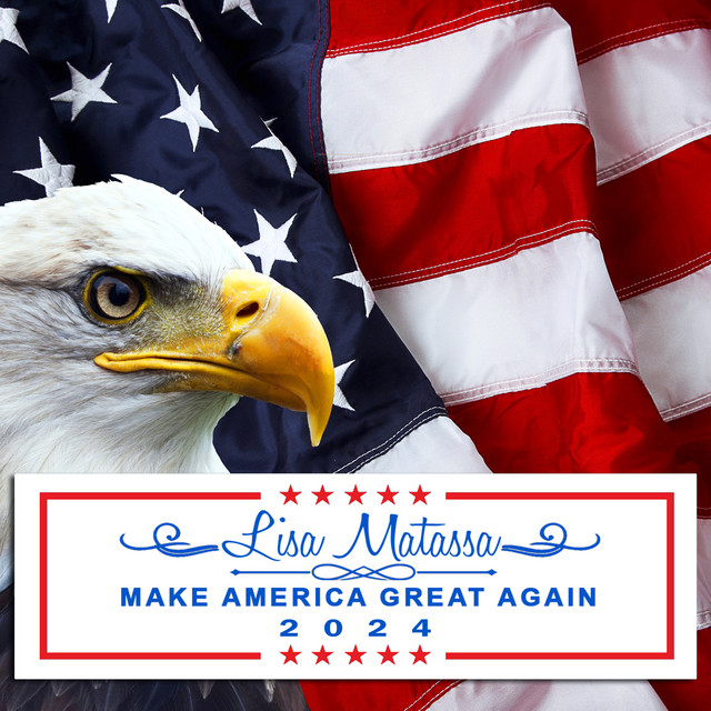Make America Great Again 2024 cover
