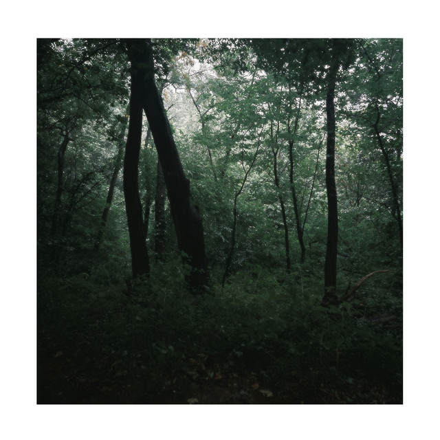 아무 일도 없었던 장마 cover