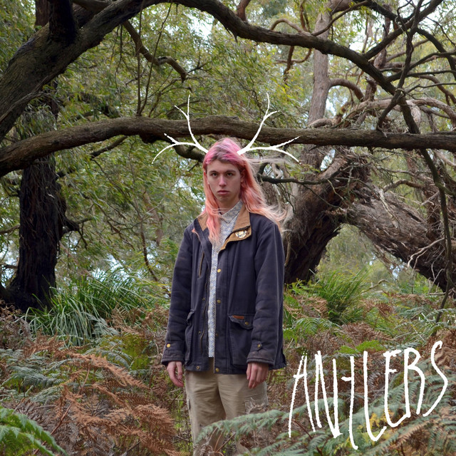 Antlers