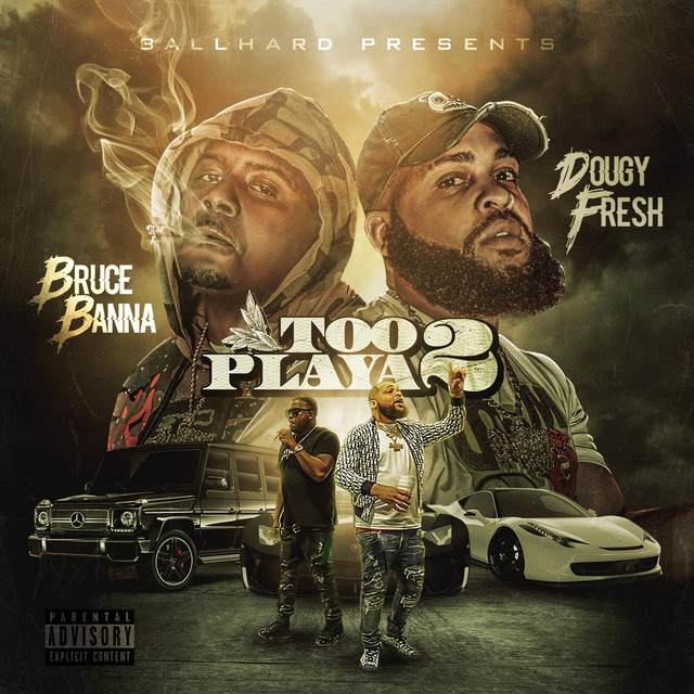 Too Playa 2 cover art