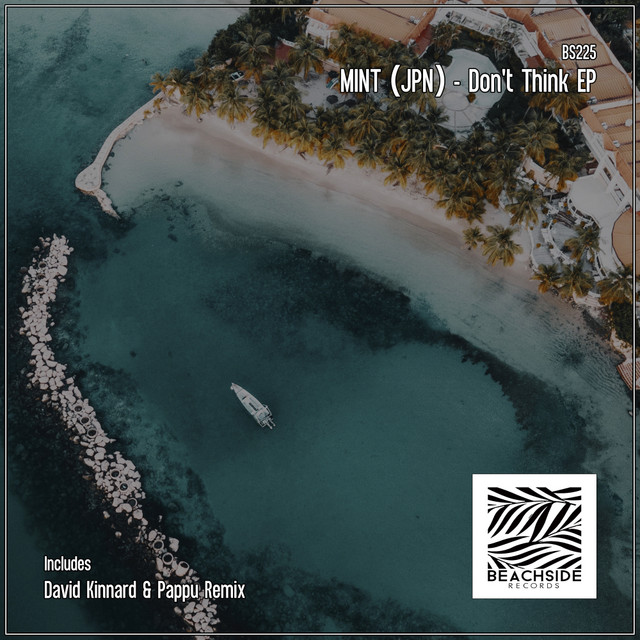 Don't Think - David Kinnard & Pappu Remix cover art