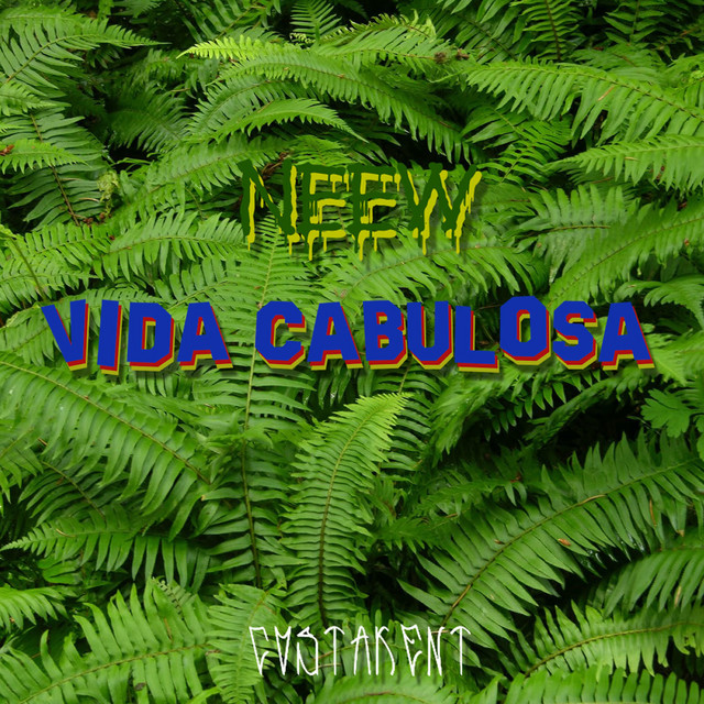 Vida Cabulosa