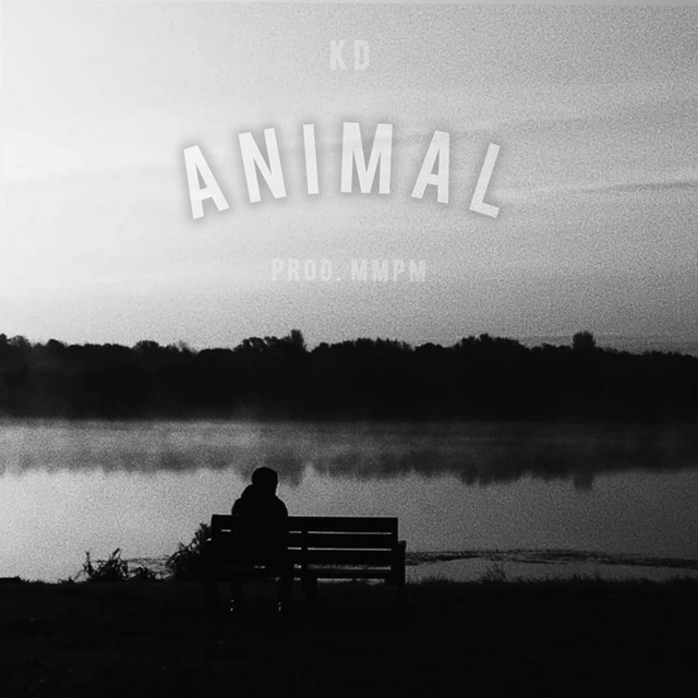 Animal album image