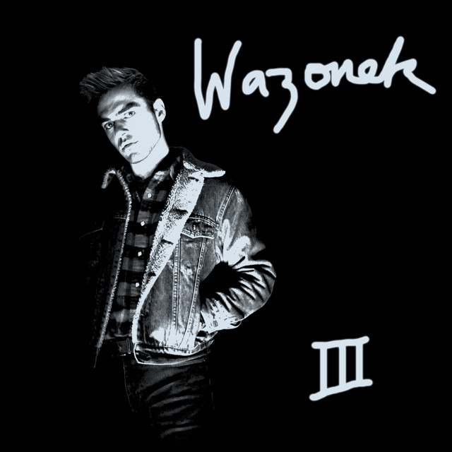 Wazonek III cover art