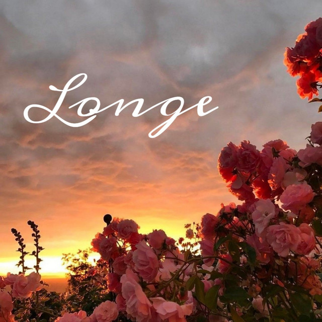 Longe cover art