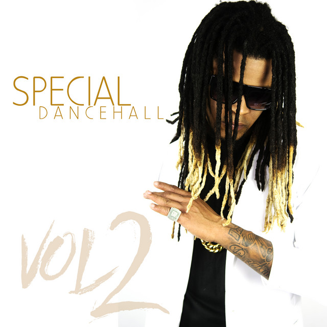 Special (Vol. 2) cover art