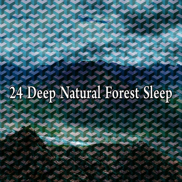 24 Deep Natural Forest Sleep - Album by Pro Sounds of Nature | Spotify
