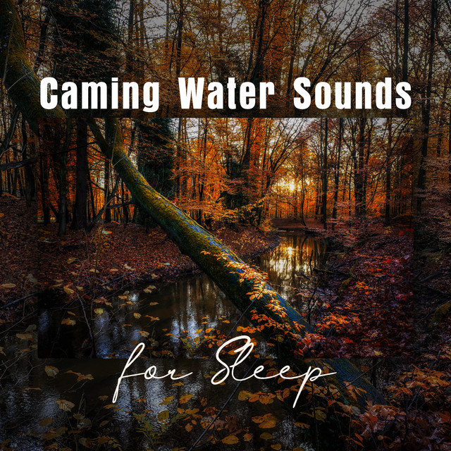 Natural Sleep Aid Music Zone