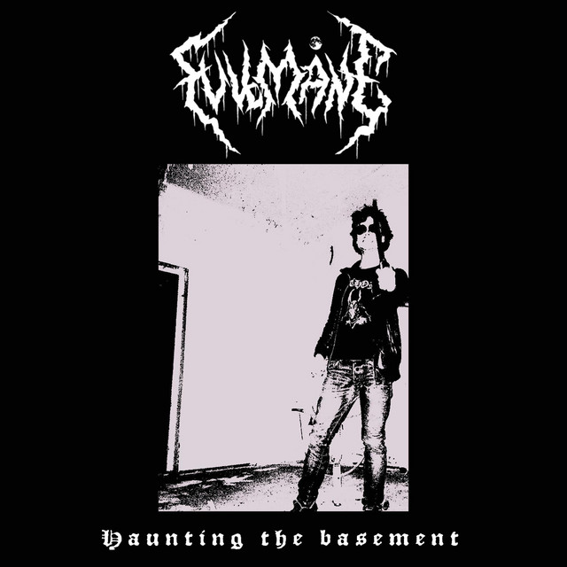 Haunting the Basement cover art