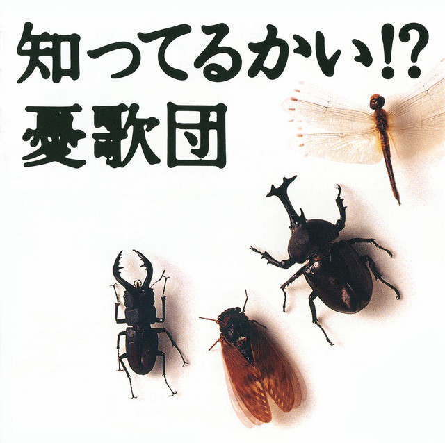 知ってるかい!? cover art