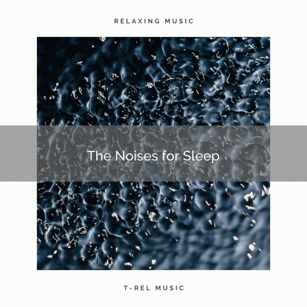 The Noises for Sleep cover art
