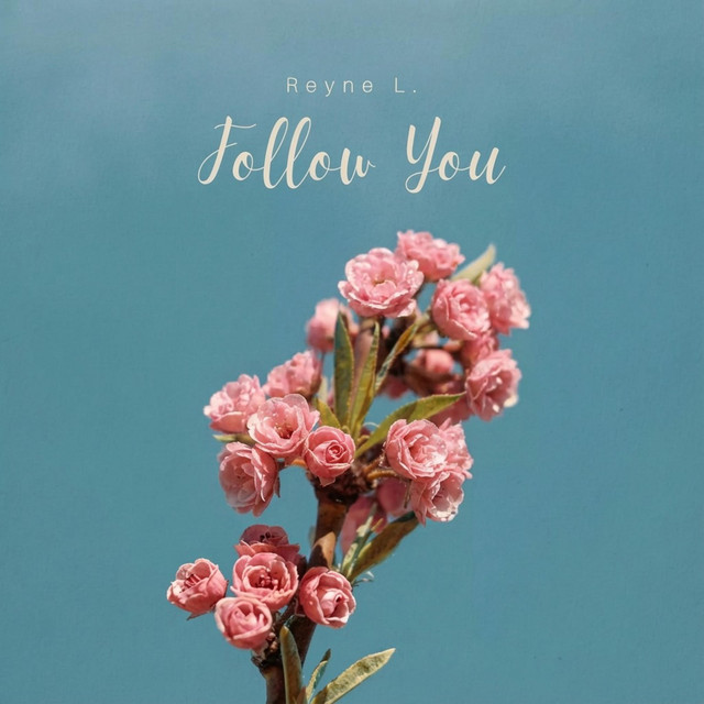 Follow You