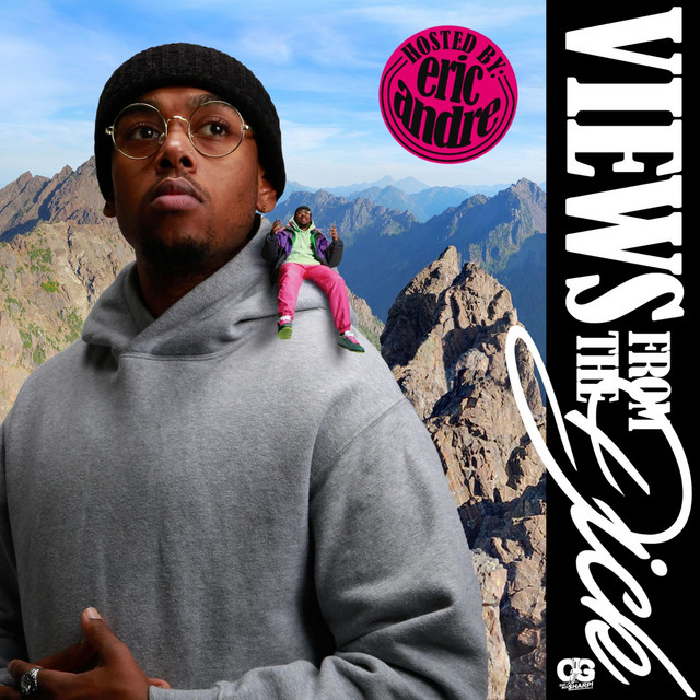 Views from the Dick cover
