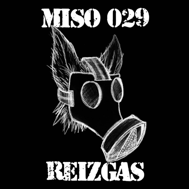029 Reizgas cover art
