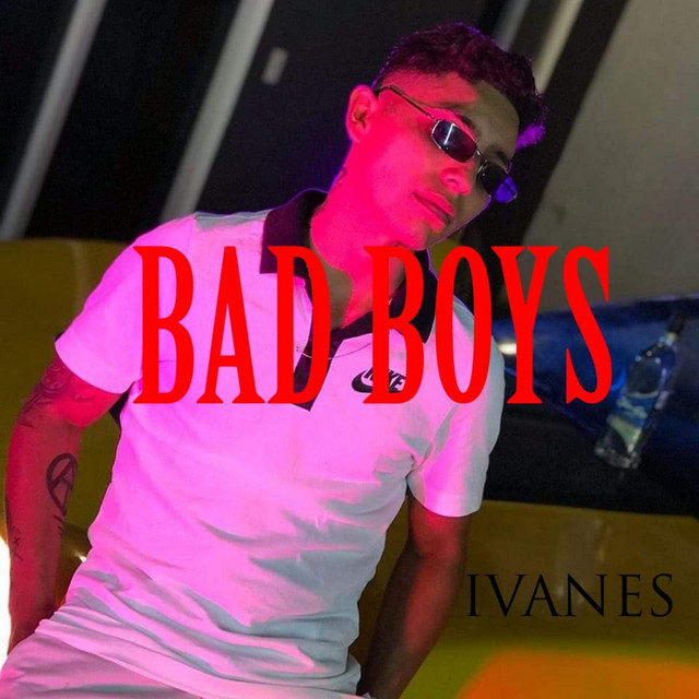 Bad Boys cover art