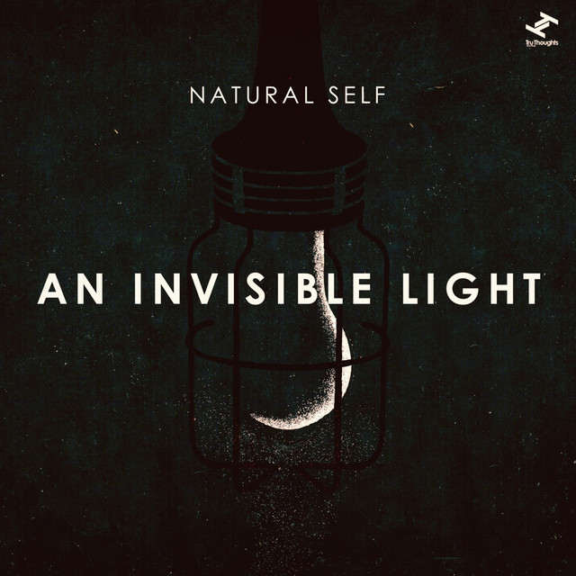 An Invisible Light cover art
