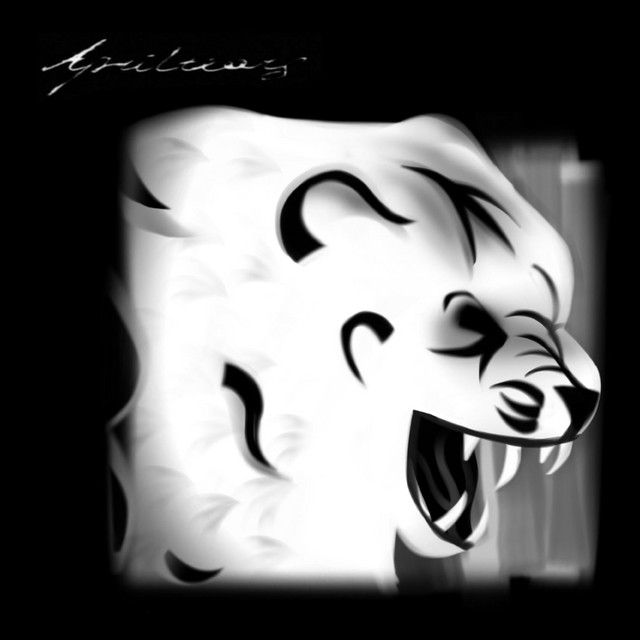 tekti añ cover art