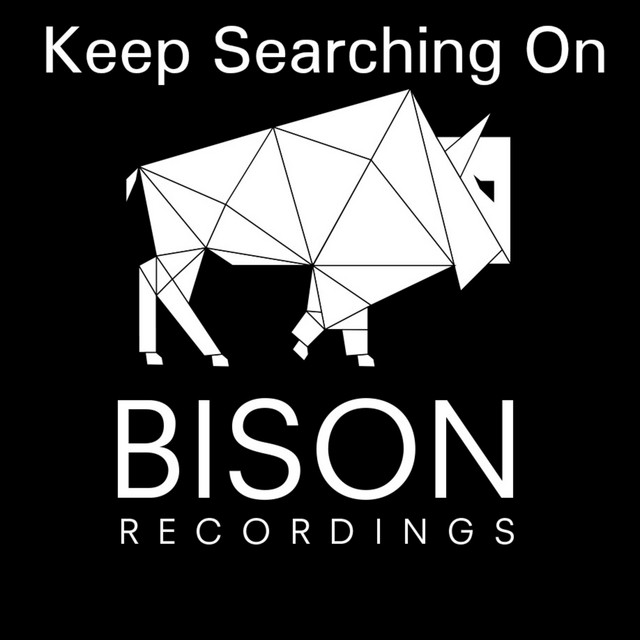 Keep Searching On cover